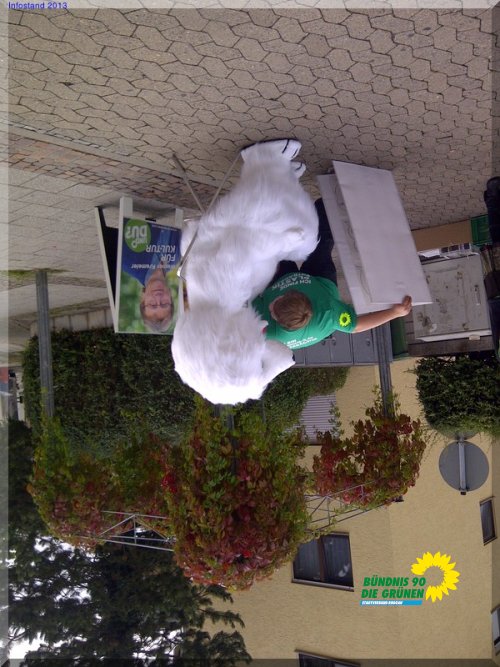 Infostand der Grünen in Rodgau