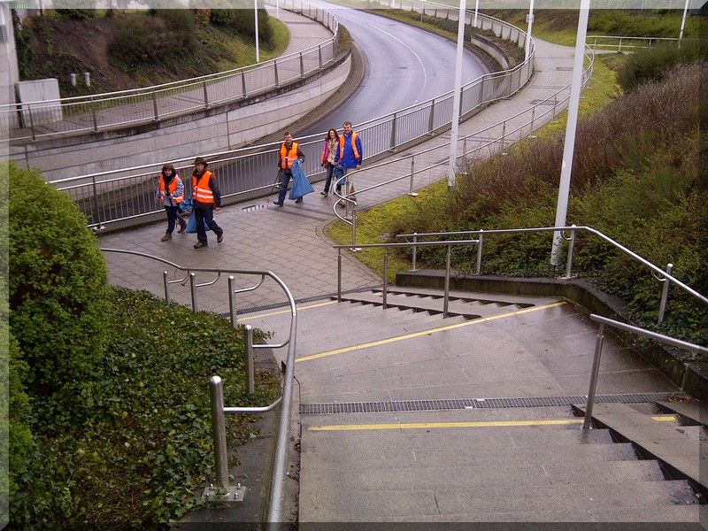 Grüne bei sauberhaftes Hessen 2014