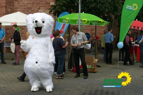 Europawahl 2014_img_0658_jpg