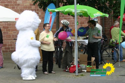 Europawahl 2014_img_0661_jpg