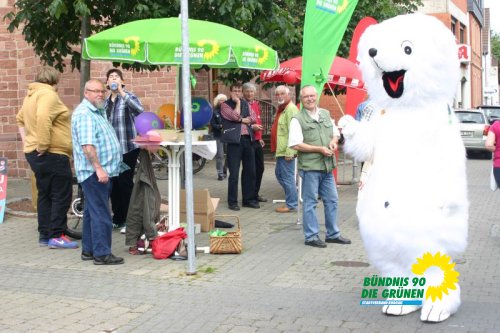 Europawahl 2014_img_0666_jpg