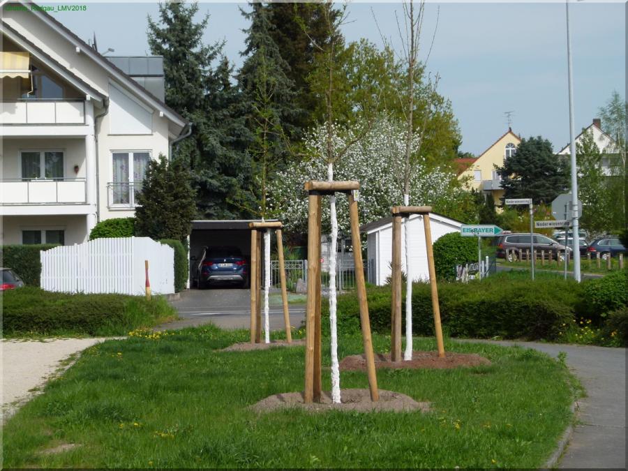 Baumpflanzungen2018