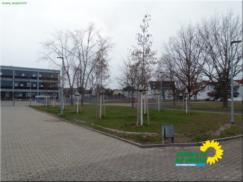 Spaziergang5_Januar_19_P1140349