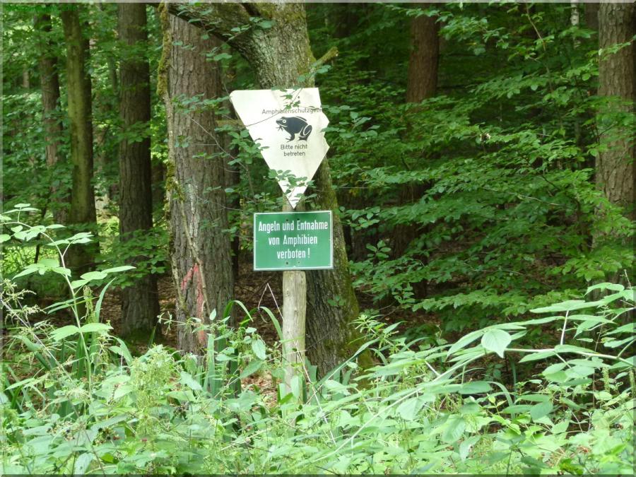 Biologischer Waldspaziergang mit Josef Lach