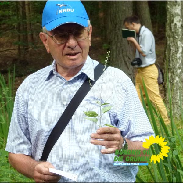 Biologischer Waldspaziergang mit Josef Lach
