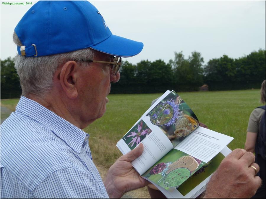Biologischer Waldspaziergang mit Josef Lach