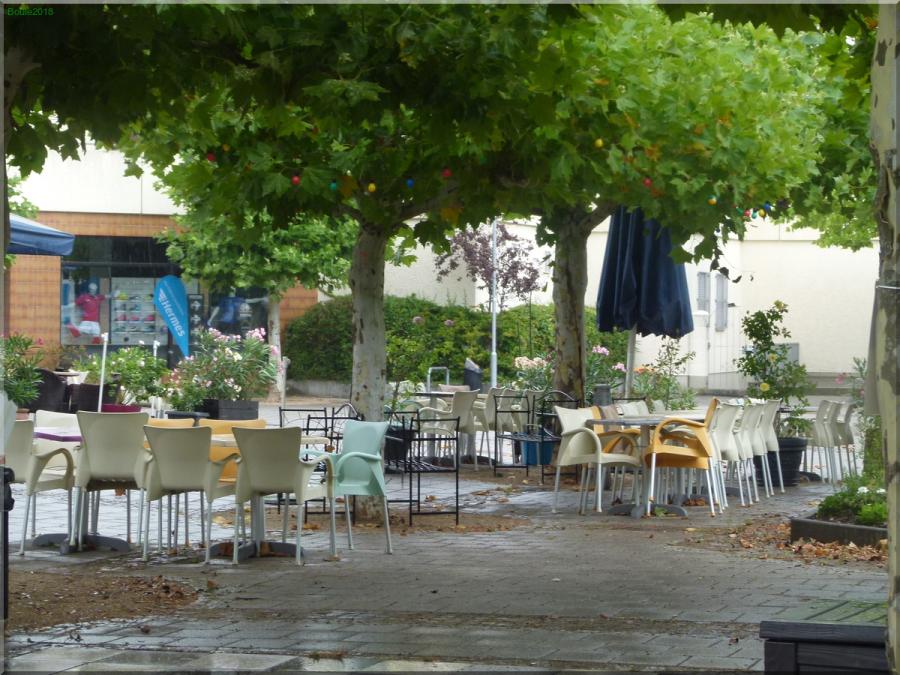 Grüner Sommer: Abschlussboule am Puiseauxplatz