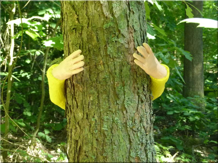 NaturKultur 2018