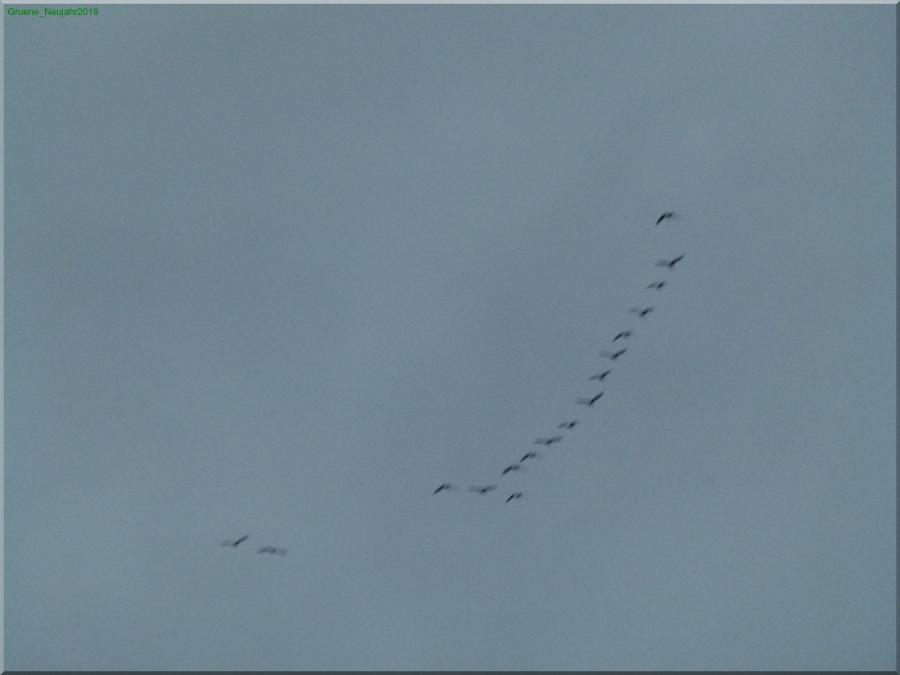 Neujahrsspaziergang 2019