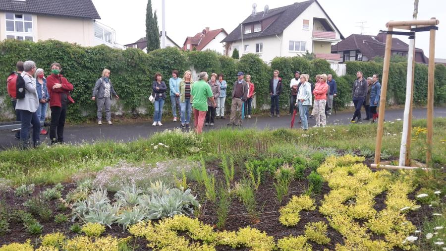 Hainhausen Erkundung