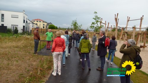 hainhausen2020_p1210714