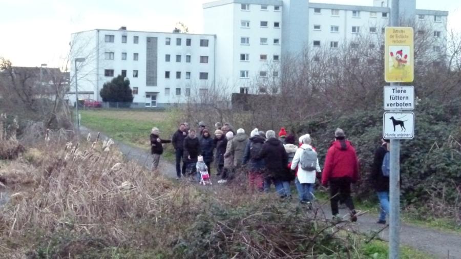 Neujahrsspaziergang