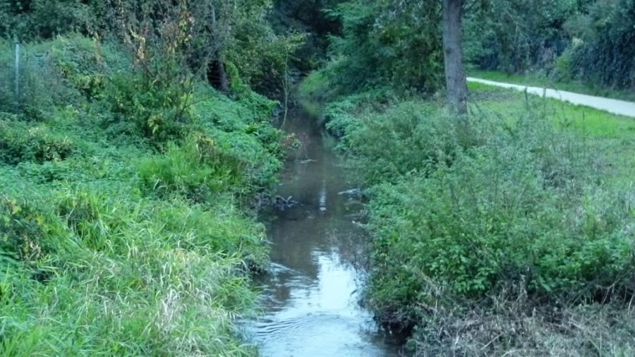 rodau-rundgang-juegesheim