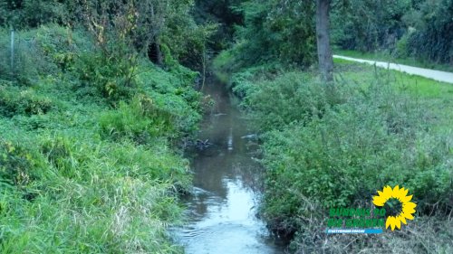 rodaugang_2020_p1230274