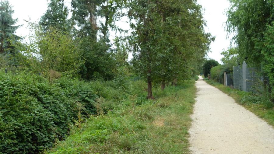 rodauimpressionen