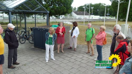 rollwald_2020_p1210591