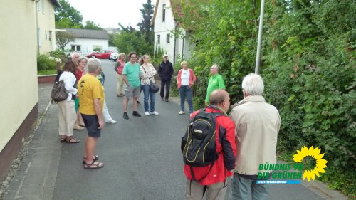 rollwald_2020_p1210592