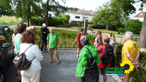 rollwald_2020_p1210607