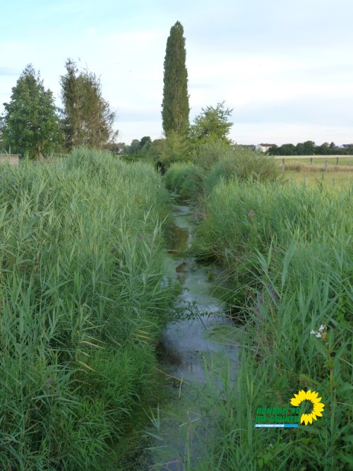 weiskirchen_2020_p1460639