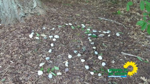 naturkultur21_p1250030