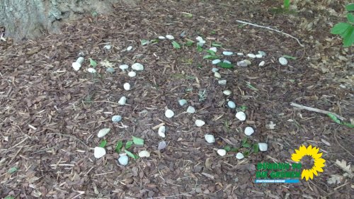 naturkultur21_p1250031