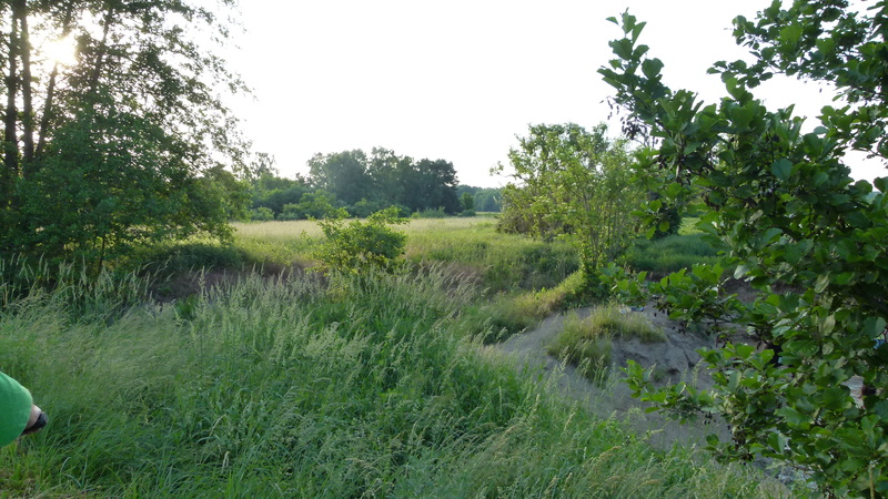 radtour-zum-rodauquellgebiet