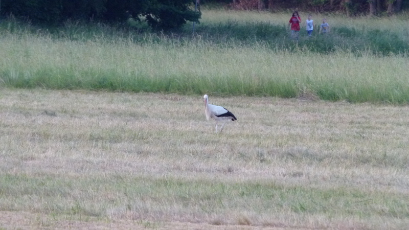 radtour-zum-rodauquellgebiet