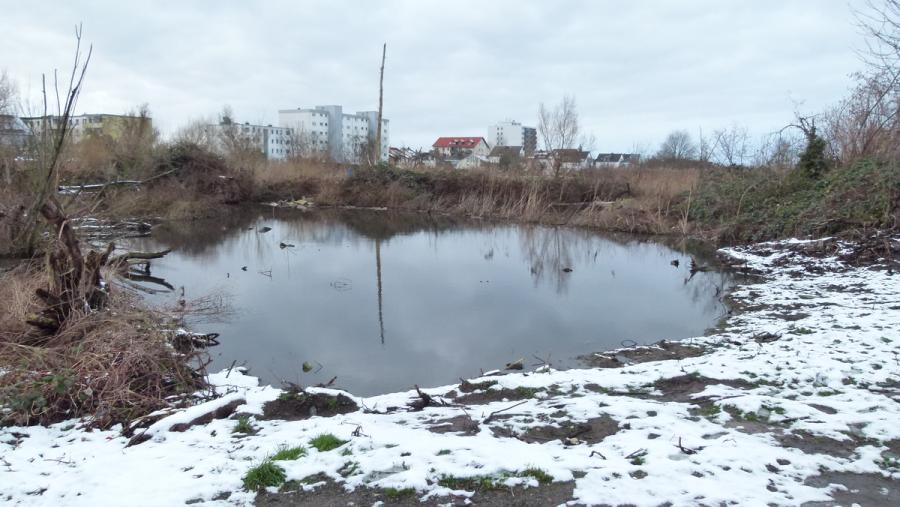 neujahrsspaziergang-2022