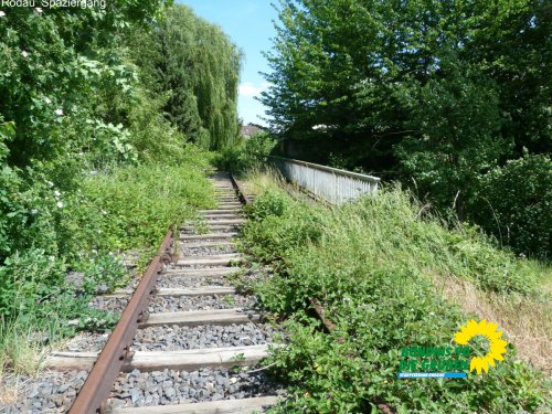 rodauspaziergang_p1500532