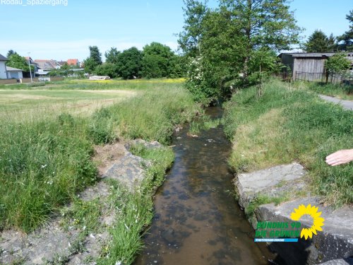 rodauspaziergang_p1500547