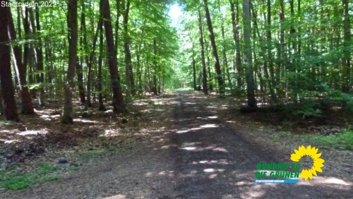 stadtradeln_p1290763