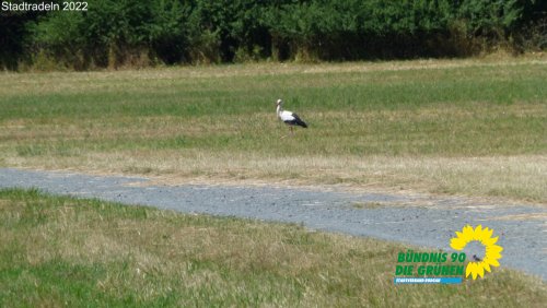 stadtradeln_p1290766