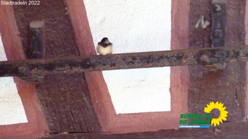 stadtradeln_p1290774