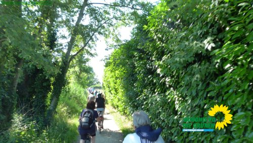 stadtradelauftakt_p1290551