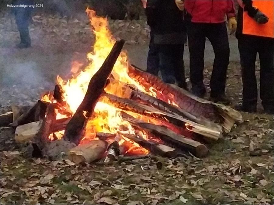 13.01. Holzversteigerung