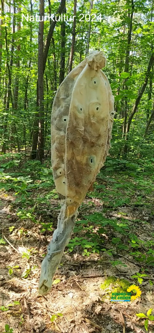 NaturkulturIMG_20240720_172716.jpg