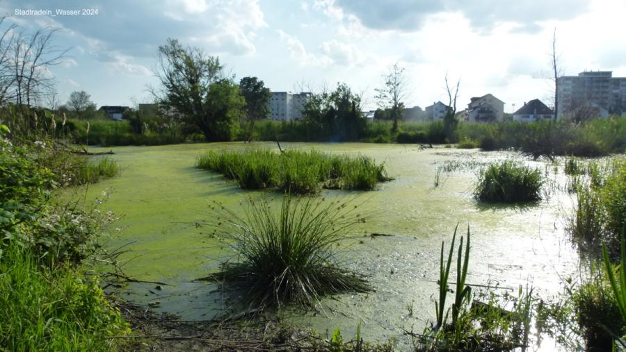 24.07-stadtradeln-wasser