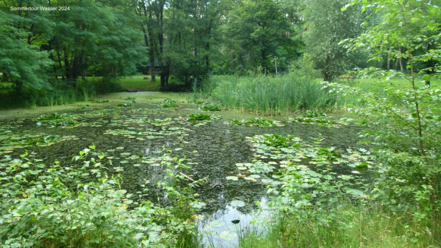 26.07.-sommertour-wasser