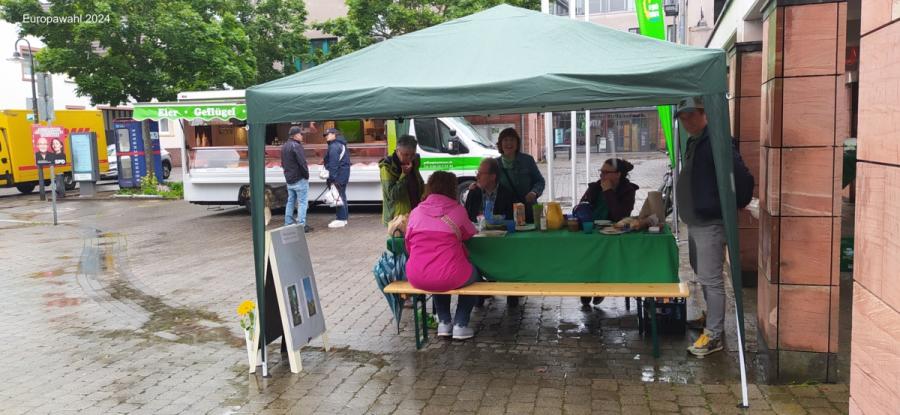 Grüne Infostände