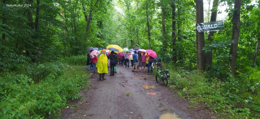 30.06. Eröffnung Natur Kultur