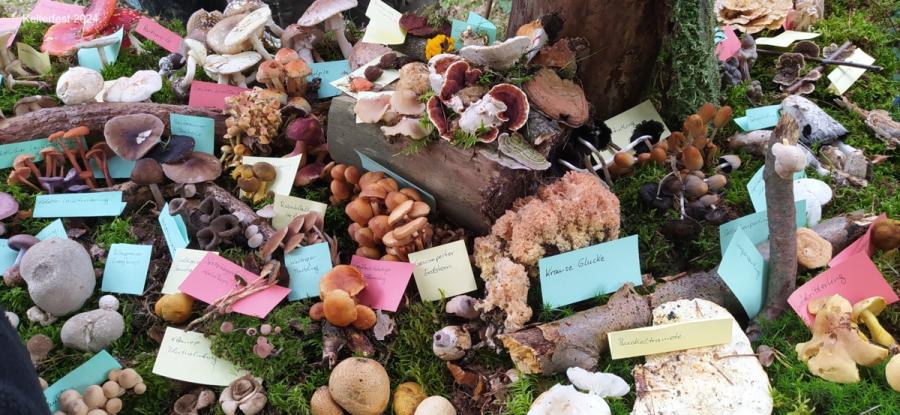 03.10. Kelterfest NABU