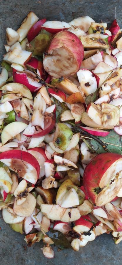 03.10. Kelterfest beim NABU