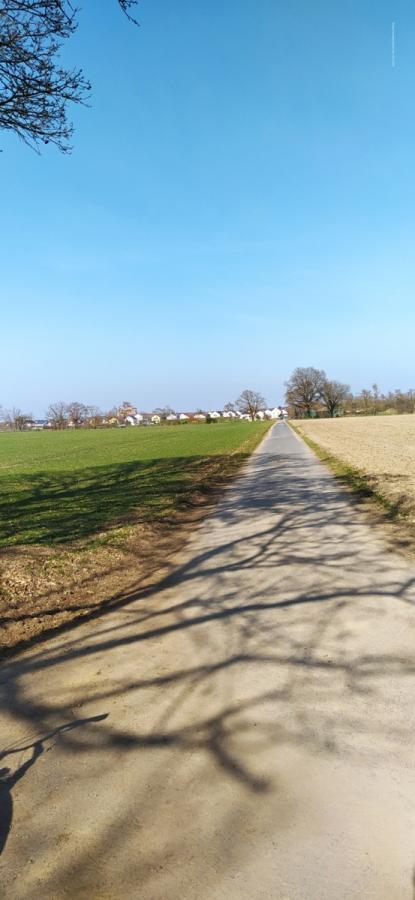 09.03. RodauRundweg Wkn