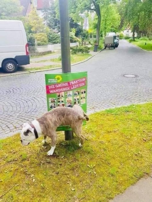 475440689_122196022742155172_3607825285972723911_n