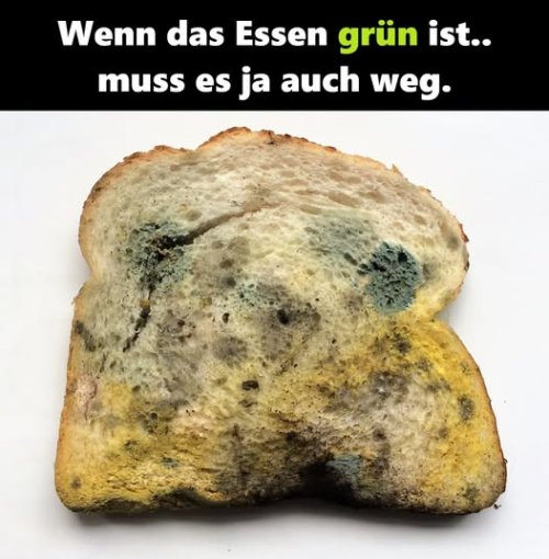 475965186_122162015570282352_2129149603578245077_n