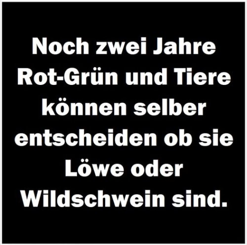 476438898_479417218577236_3302657313732368205_n
