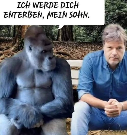 477941879_1143295123906878_4061958079033718531_n