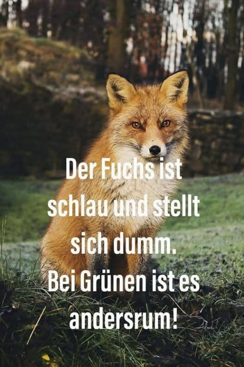 480133681_601452052700877_5172030490724125847_n