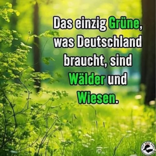 480278588_122185207796265423_4666928189046773655_n