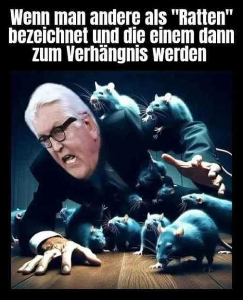 476847378_8977252109051939_2012752878476885700_n